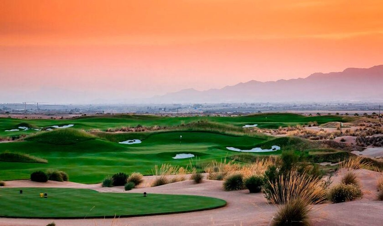 Obra nueva - Villa - Alhama De Murcia - Condado De Alhama