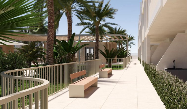 Obra nueva - Apartamento / piso - Torre Pacheco - San Cayetano