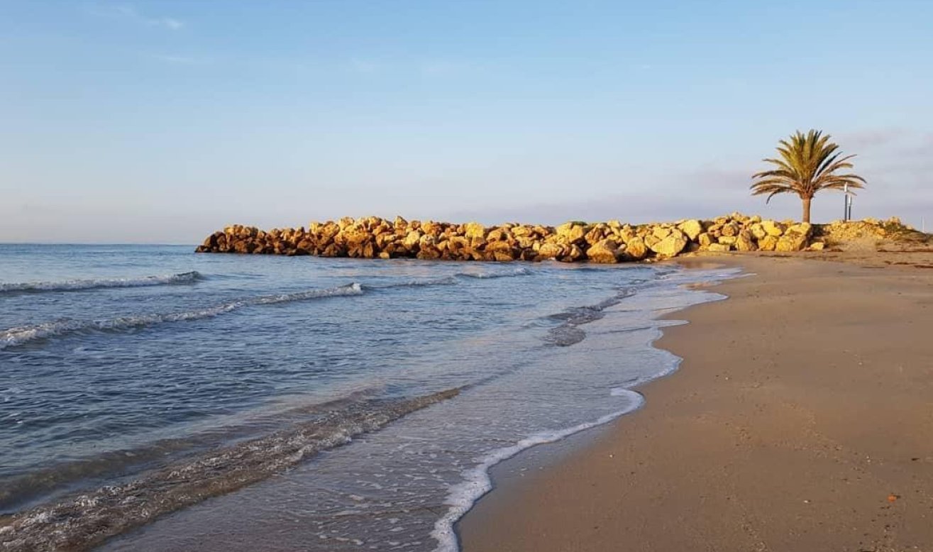 Obra nueva - Ático - Santa Pola - Playa Tamarit