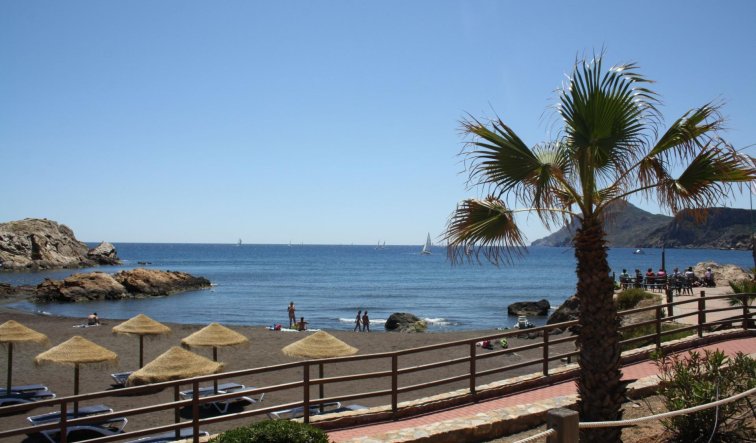 Obra nueva - Adosado - La Union - centro