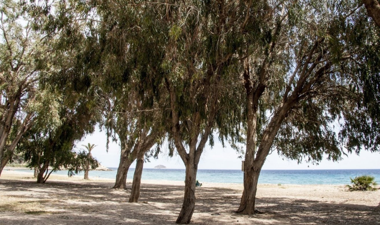 Obra nueva - Apartamento / piso - Villajoyosa - Playa Les Torres