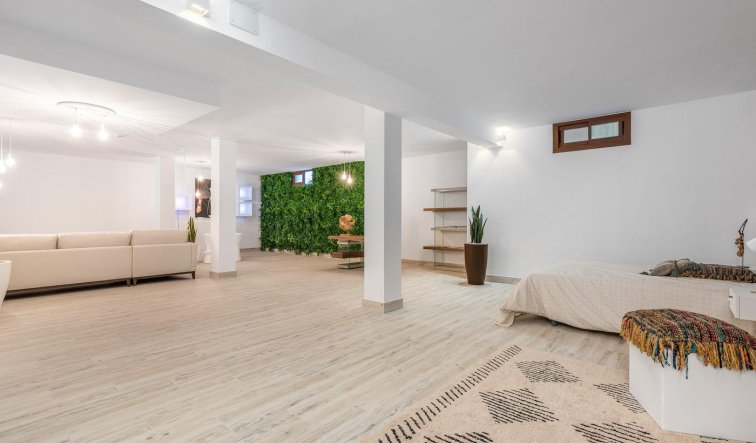 New Build - Villa - Vera - Vera Playa