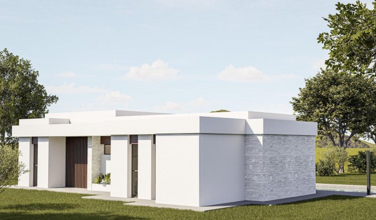 New Build - Villa - Pinoso - Lel