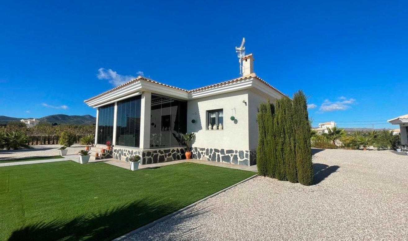 Obra nueva - Villa - Pinoso - Camino Del Prado