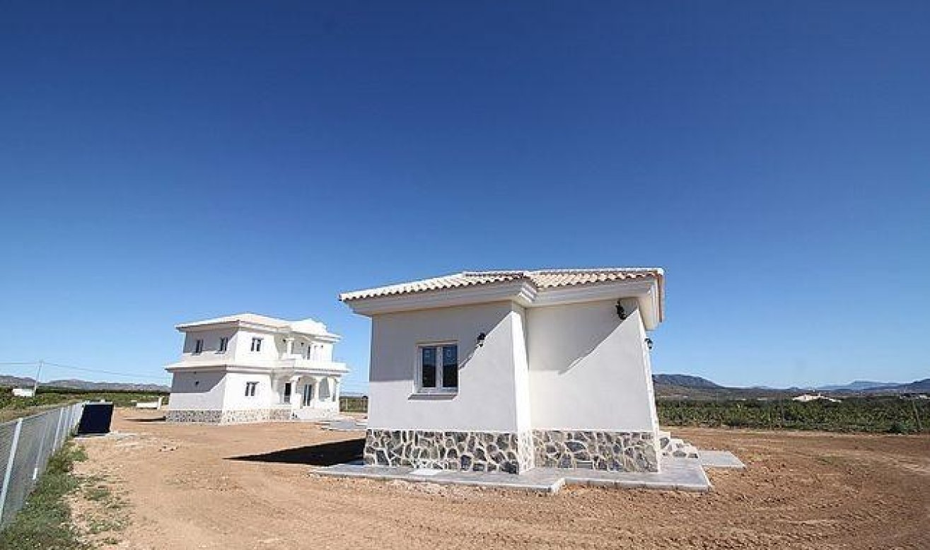 Obra nueva - Villa - Pinoso - Camino Del Prado