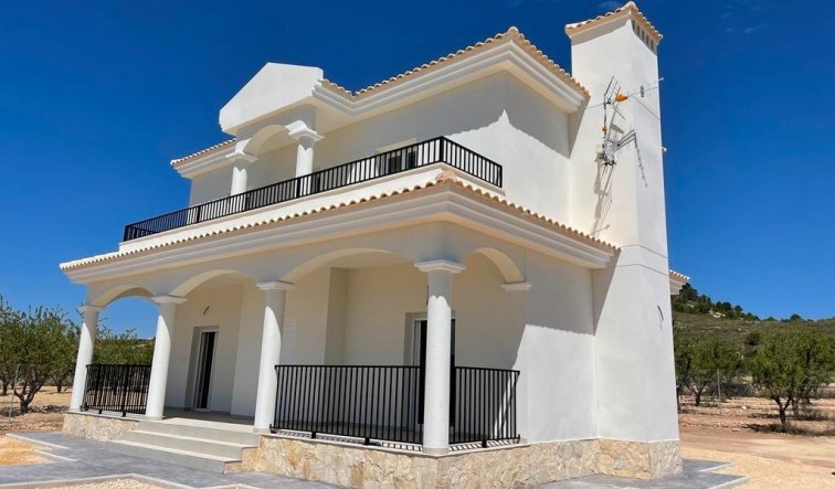 Obra nueva - Villa - Pinoso - Camino Del Prado