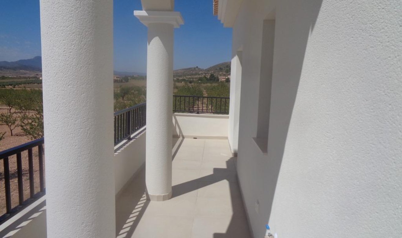 Obra nueva - Villa - Pinoso - Camino Del Prado