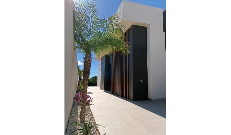 Obra nueva - Villa - Pilar de la Horadada - Roda Golf