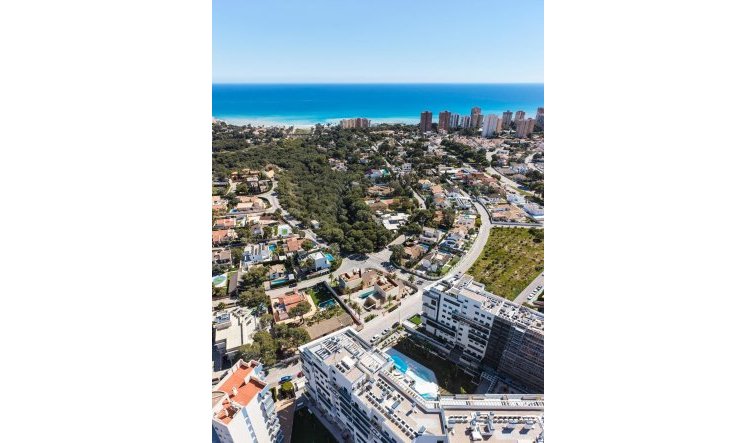 Nouvelle construction - Villa - Orihuela Costa - Dehesa de campoamor