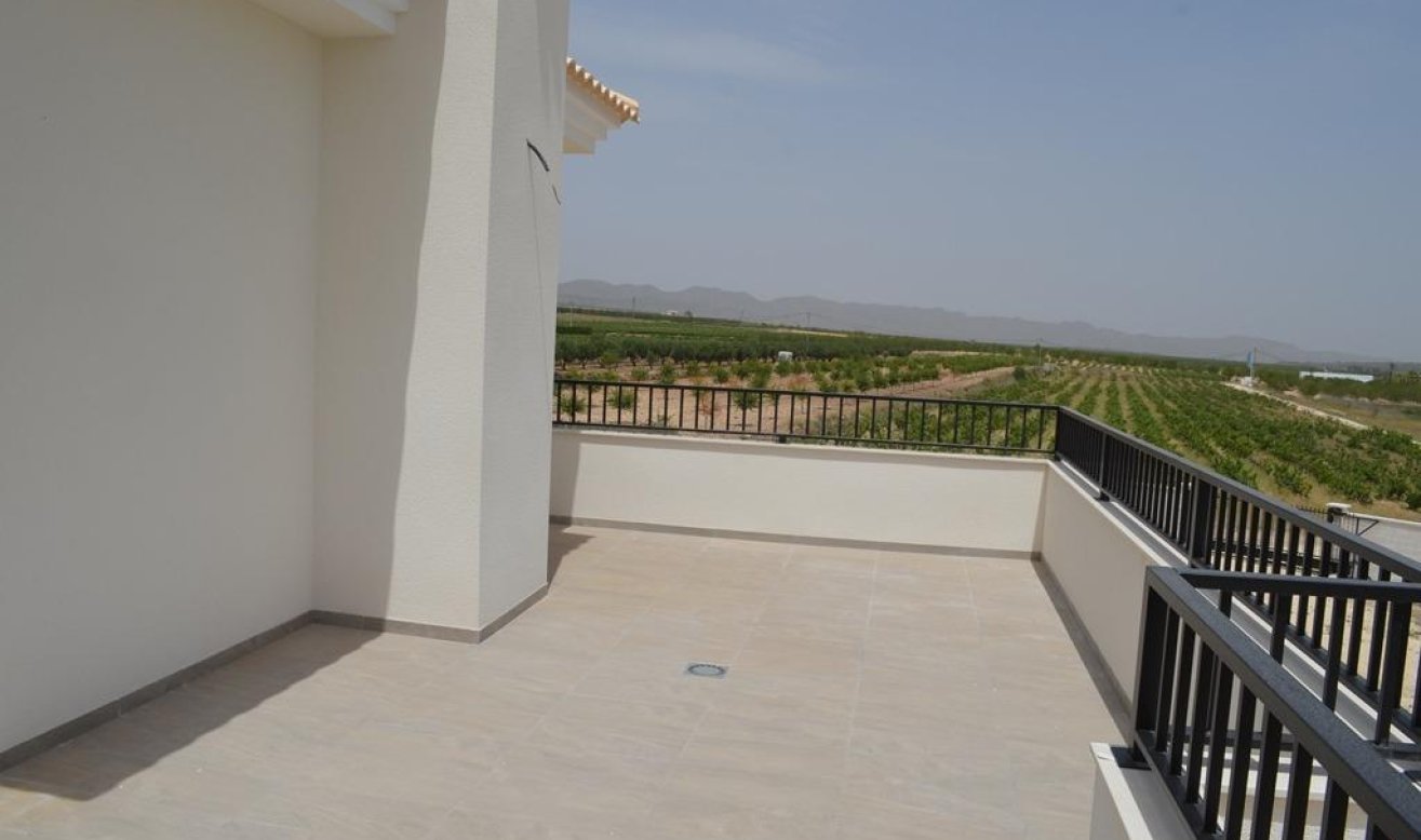 Obra nueva - Villa - Pinoso - Camino Del Prado