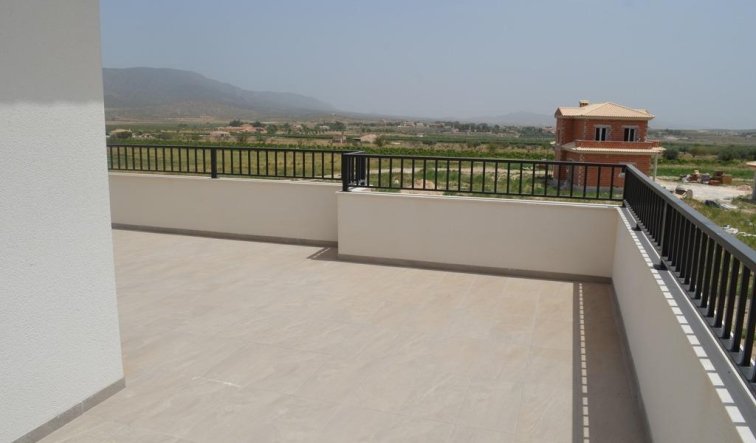 Obra nueva - Villa - Pinoso - Camino Del Prado
