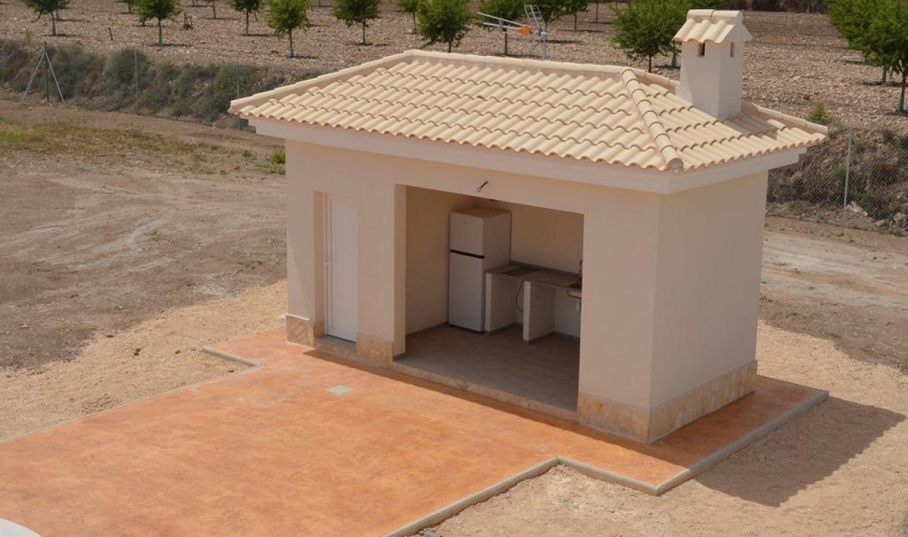 Obra nueva - Villa - Pinoso - Camino Del Prado