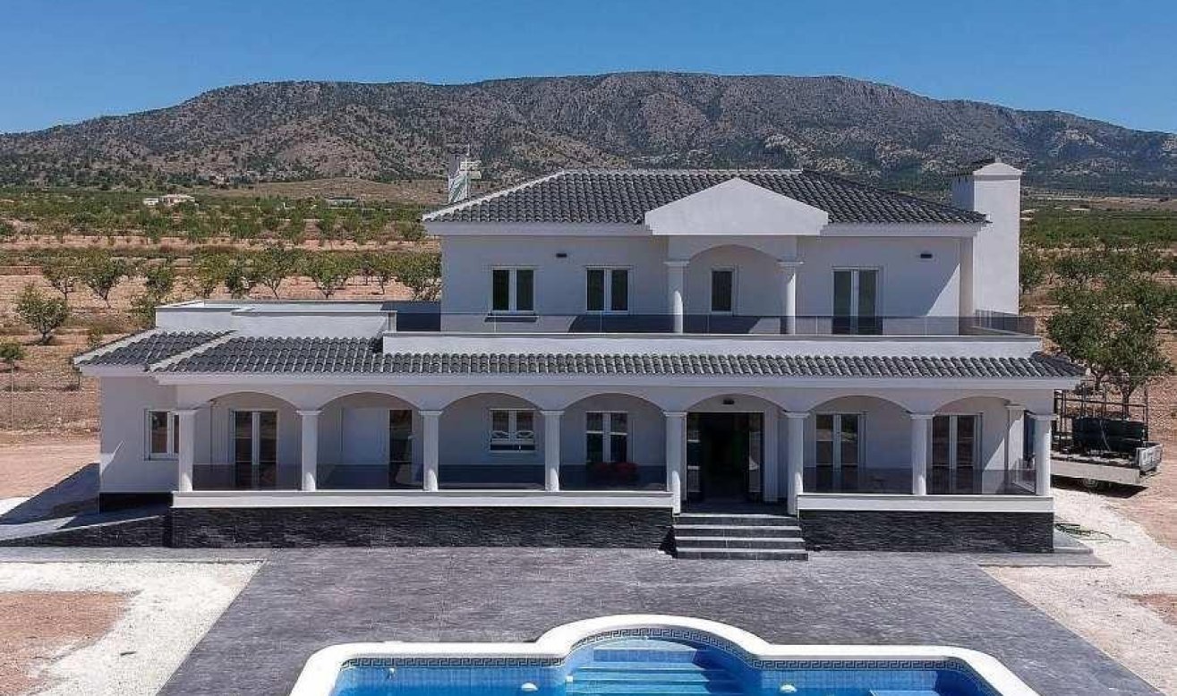 Obra nueva - Villa - Pinoso - Camino Del Prado