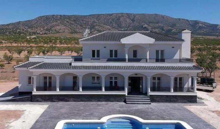 Obra nueva - Villa - Pinoso - Camino Del Prado