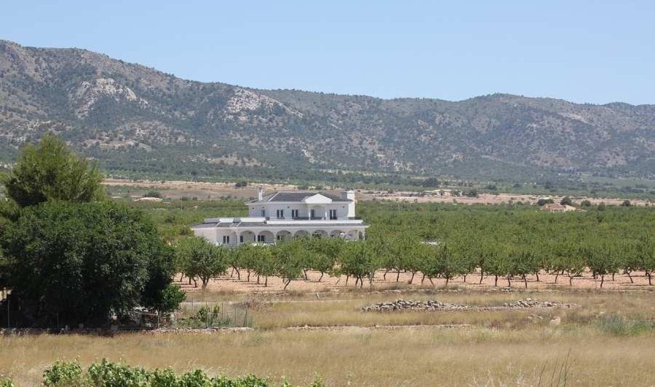 Obra nueva - Villa - Pinoso - Camino Del Prado