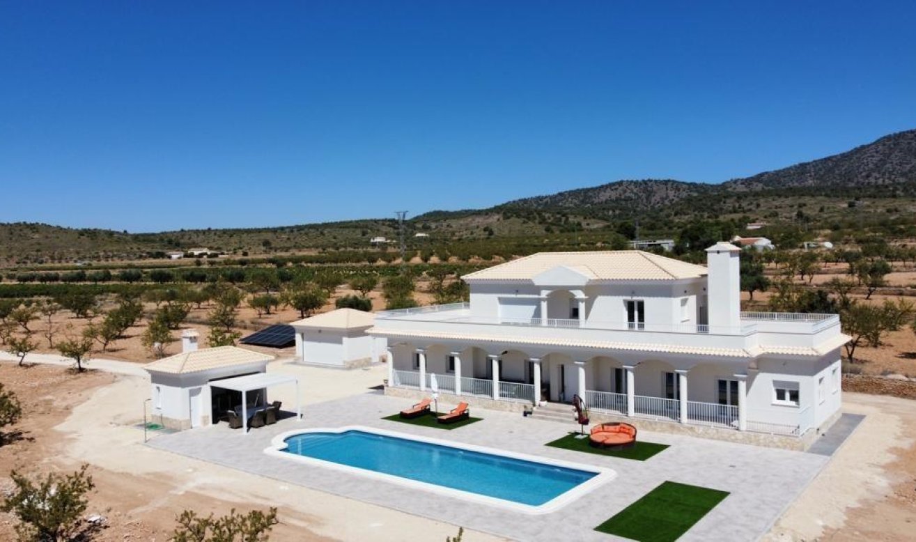 Obra nueva - Villa - Pinoso - Camino Del Prado