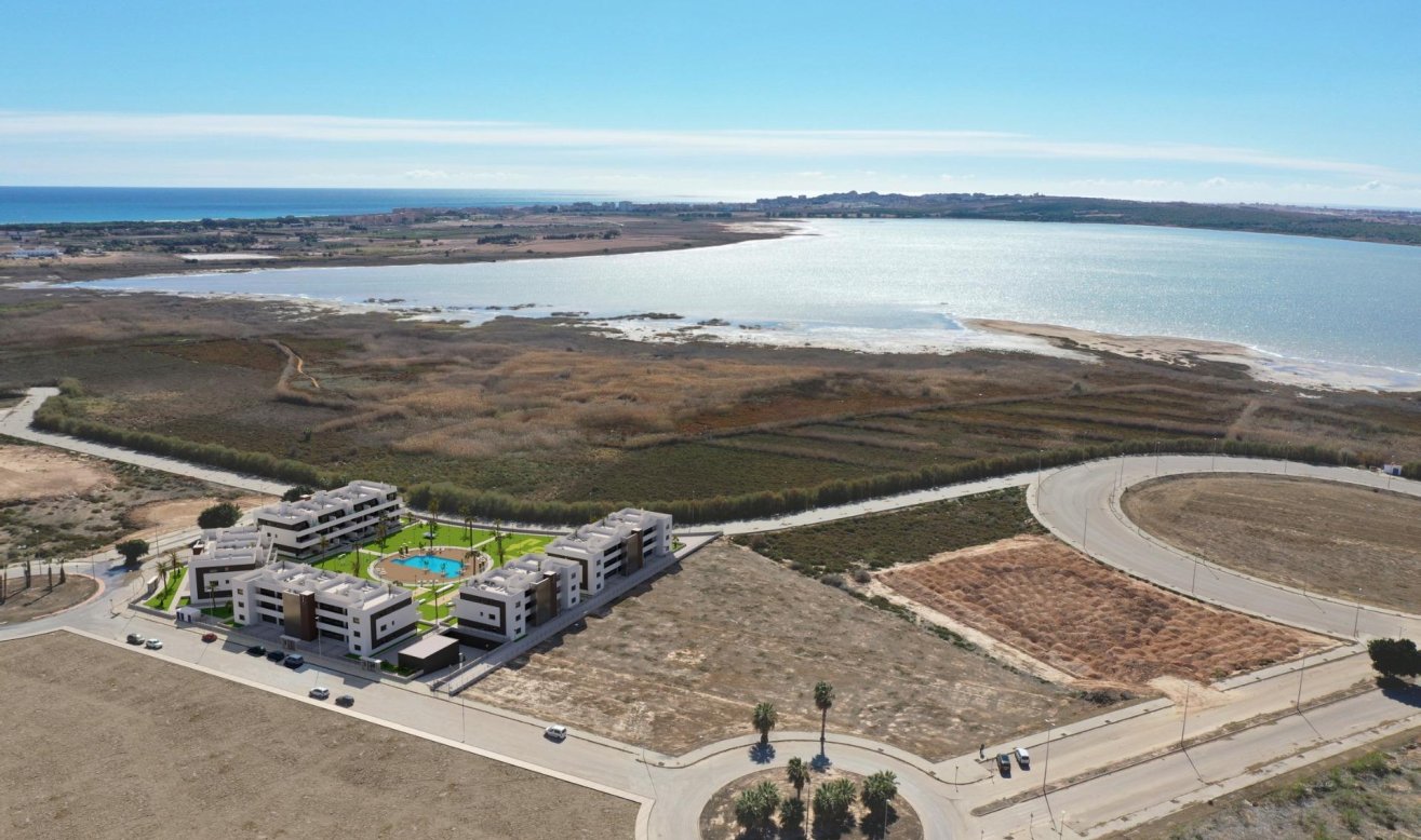Obra nueva - Apartamento / piso - Guardamar del Segura - El Raso