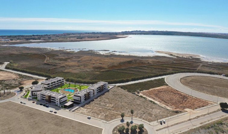 Obra nueva - Apartamento / piso - Guardamar del Segura - El Raso
