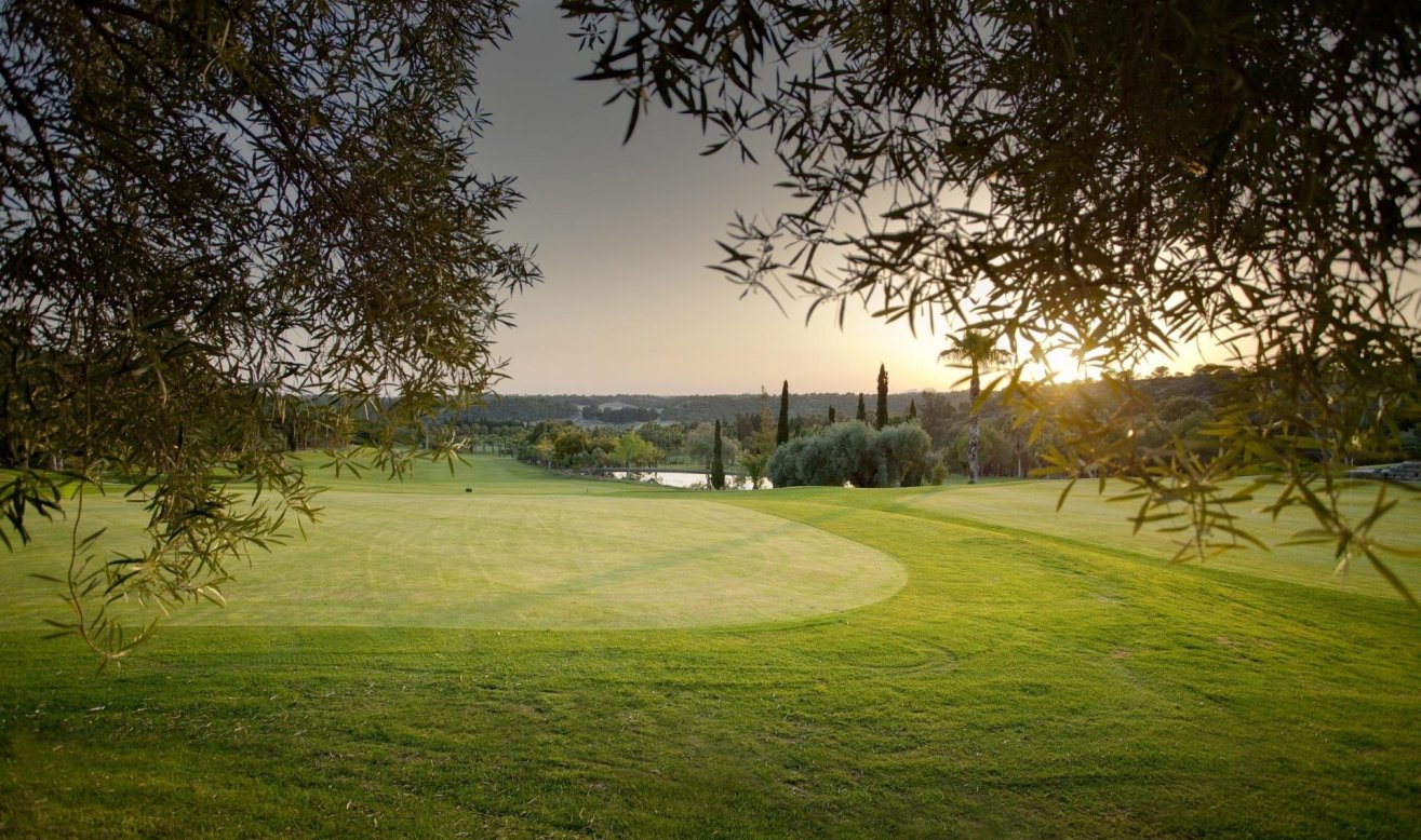Obra nueva - Ático - Orihuela Costa - Lomas de Campoamor
