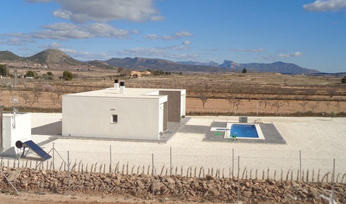 Obra nueva - Villa - Pinoso - Camino Del Prado