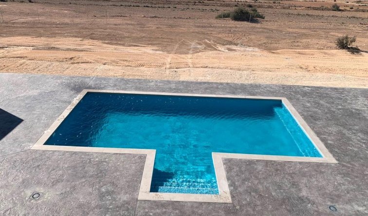 Obra nueva - Villa - Pinoso - Camino Del Prado