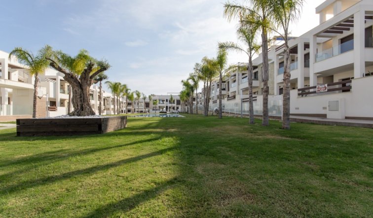 Obra nueva - Bungalow - Torrevieja - Los Balcones