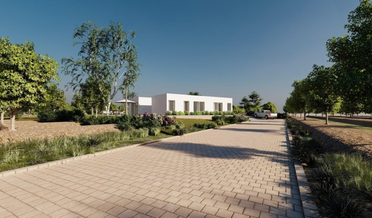 Obra nueva - Villa - Benejúzar - alta