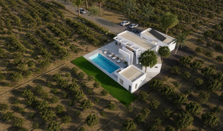 Obra nueva - Villa - Benejúzar - alta