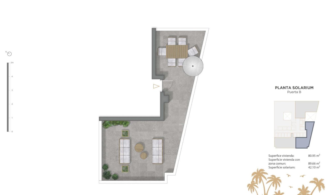 Obra nueva - Ático - Guardamar del Segura - Pueblo