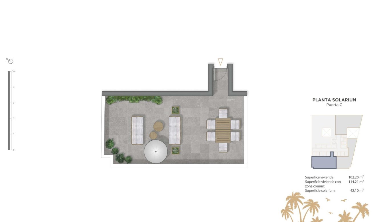 Obra nueva - Ático - Guardamar del Segura - Pueblo