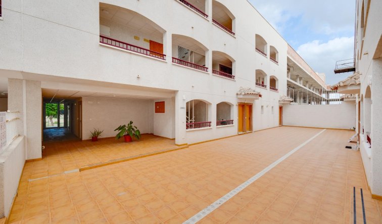 Obra nueva - Apartamento / piso - San Fulgencio - Pueblo