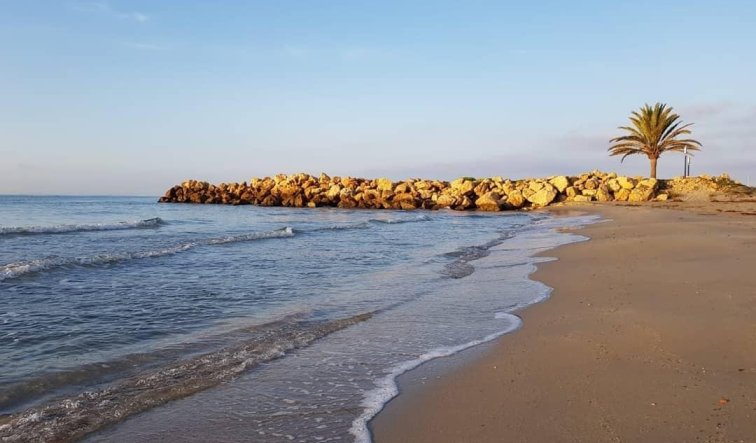 Obra nueva - Apartamento / piso - Santa Pola - Playa Tamarit