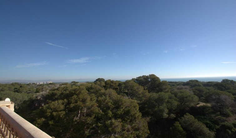 Obra nueva - Ático - Guardamar del Segura - Pueblo