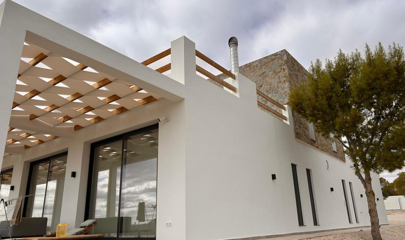 Obra nueva - Villa - Pinoso - Casas Pastor