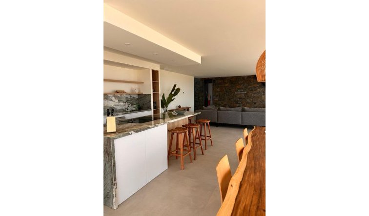 Obra nueva - Villa - Pinoso - Casas Pastor