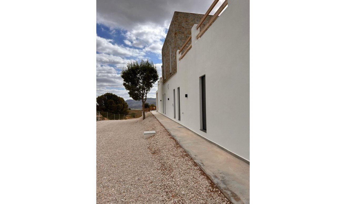 Obra nueva - Villa - Pinoso - Casas Pastor