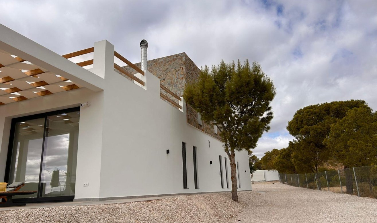 Obra nueva - Villa - Pinoso - Casas Pastor