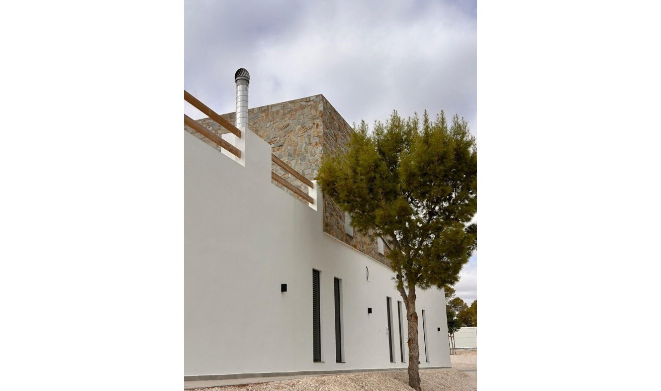 Obra nueva - Villa - Pinoso - Casas Pastor