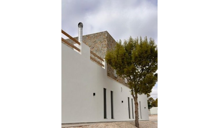 Obra nueva - Villa - Pinoso - Casas Pastor
