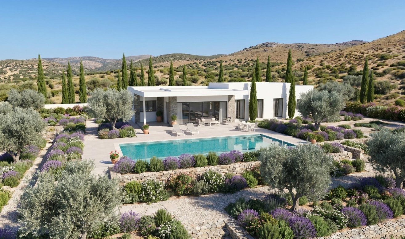 Obra nueva - Villa - Pinoso - Casas Pastor