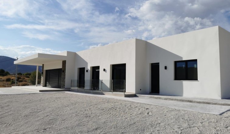 Obra nueva - Villa - Pinoso - Casas Pastor