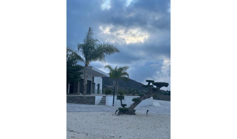 Obra nueva - Villa - Pinoso - Casas Pastor