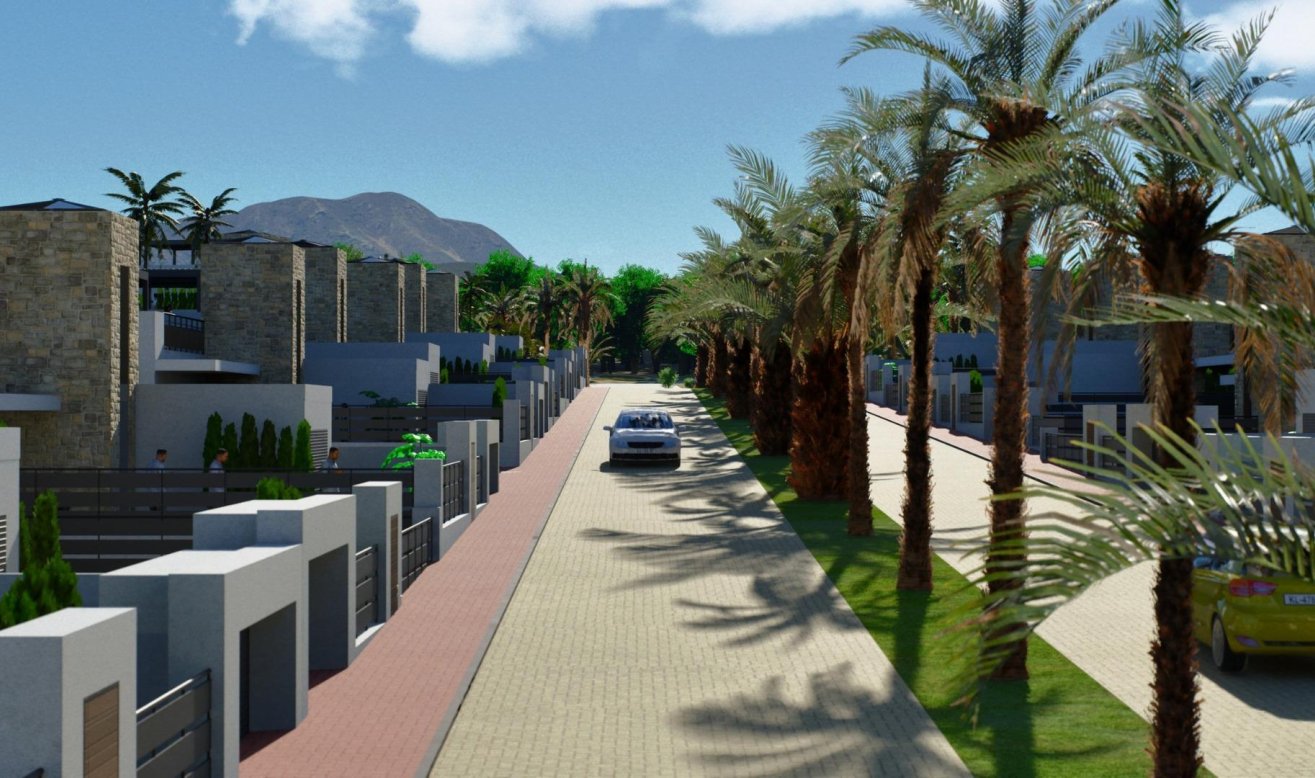 Obra nueva - Villa - Fuente Álamo - La Pinilla