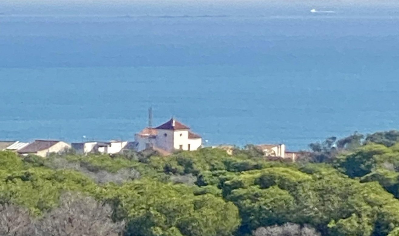 Obra nueva - Ático - Guardamar del Segura - Centro