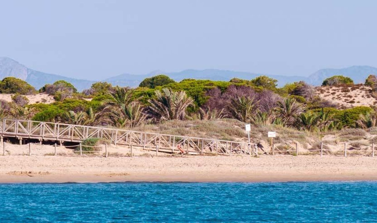 Nouvelle construction - Attique - Guardamar del Segura - Pueblo