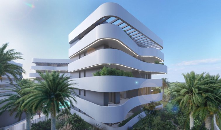 Obra nueva - Ático - Guardamar del Segura - El Raso