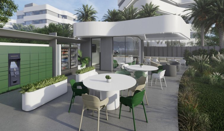 Obra nueva - Apartamento / piso - Guardamar del Segura - El Raso