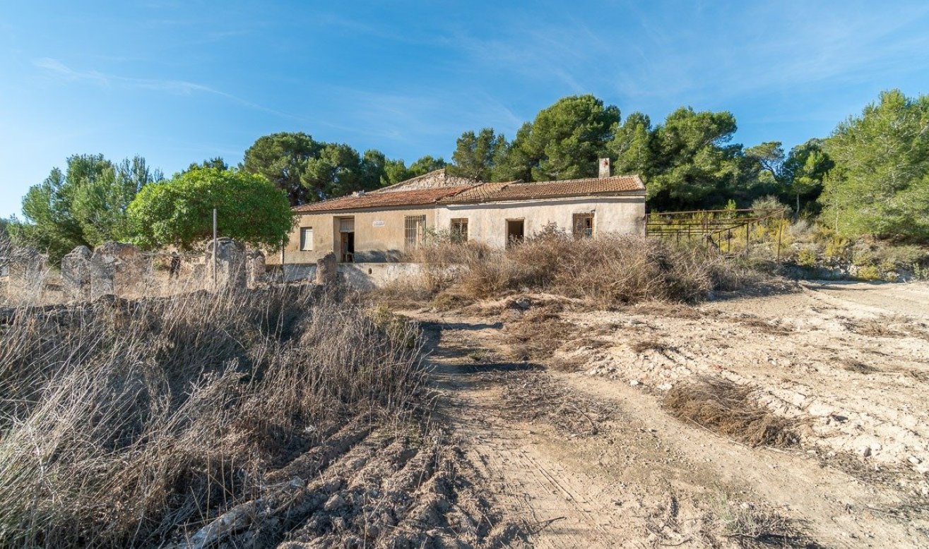 Reventa - Country house - Pilar de la Horadada - Pinar de la Perdiz