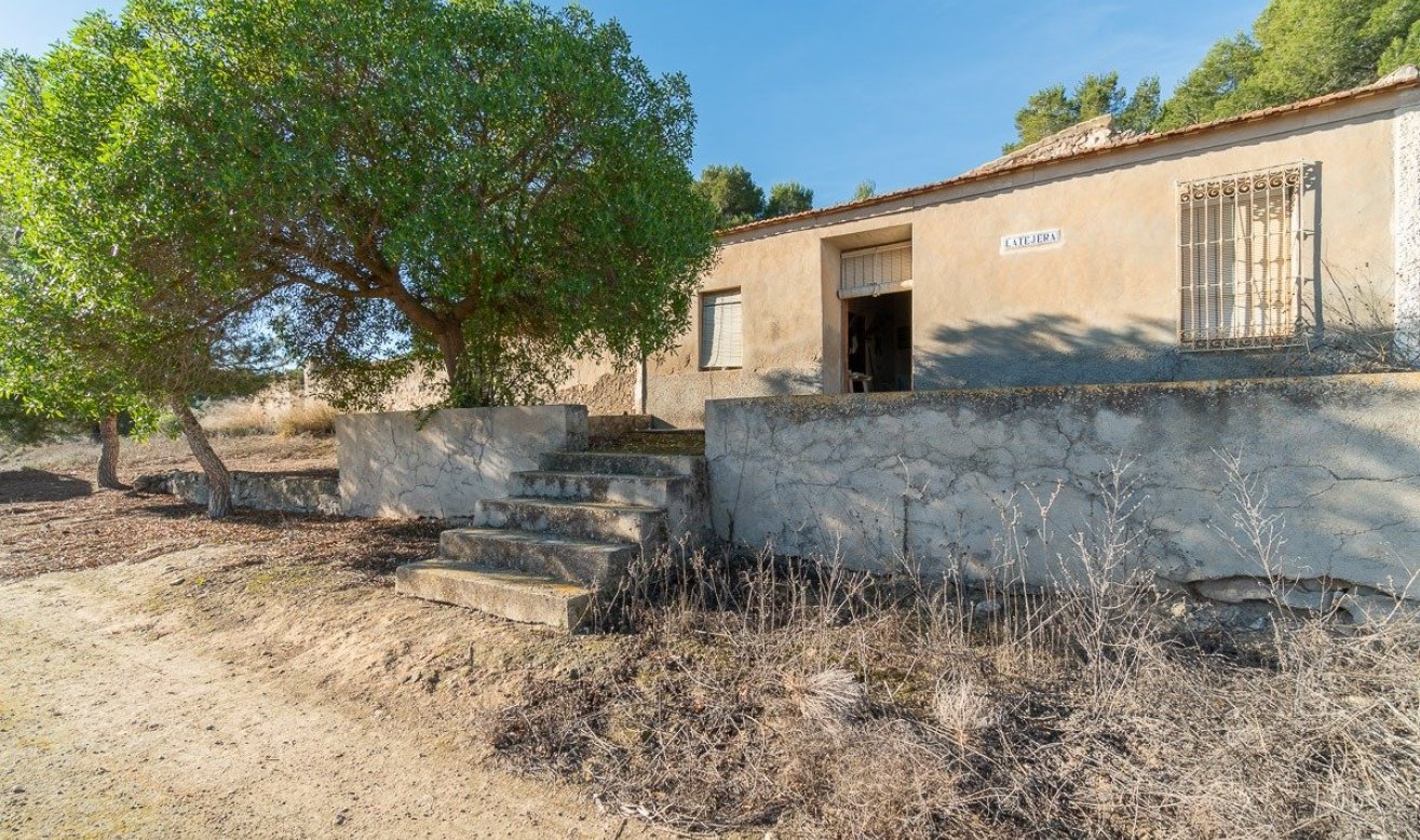 Reventa - Country house - Pilar de la Horadada - Pinar de la Perdiz