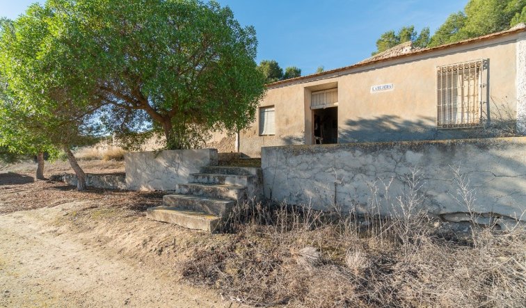 Reventa - Country house - Pilar de la Horadada - Pinar de la Perdiz
